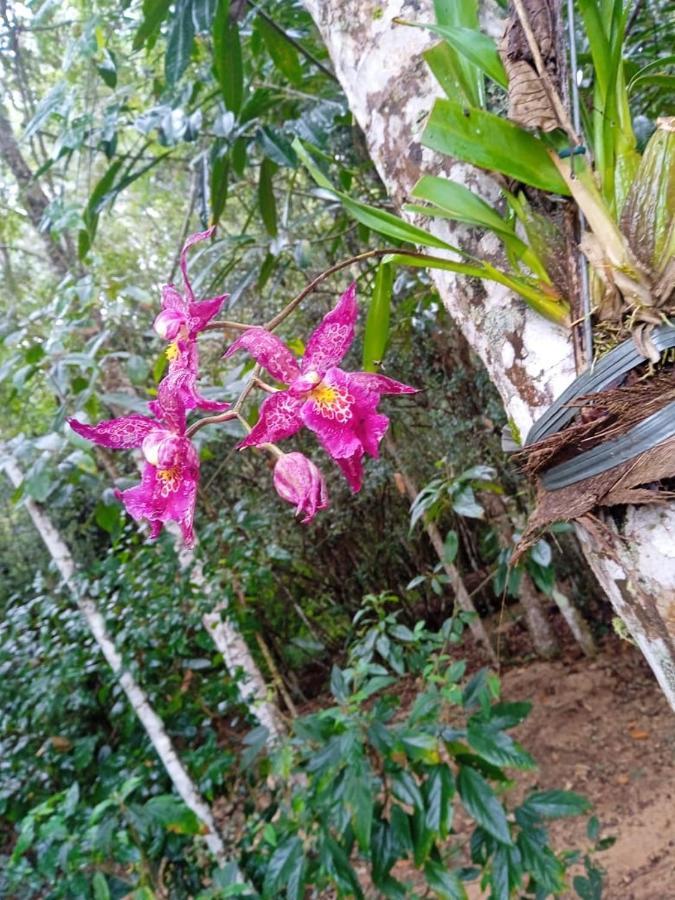 Casa De Campo Banheira, Lareira E Cachoeira Pedra Azul  Exterior photo